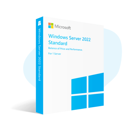 Microsoft Windows Server 2022 Standard 1PC